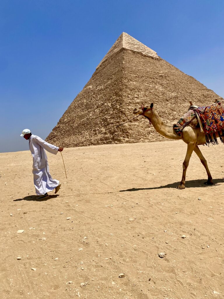 Giza Necropolis kamel foran pyramide Egypten