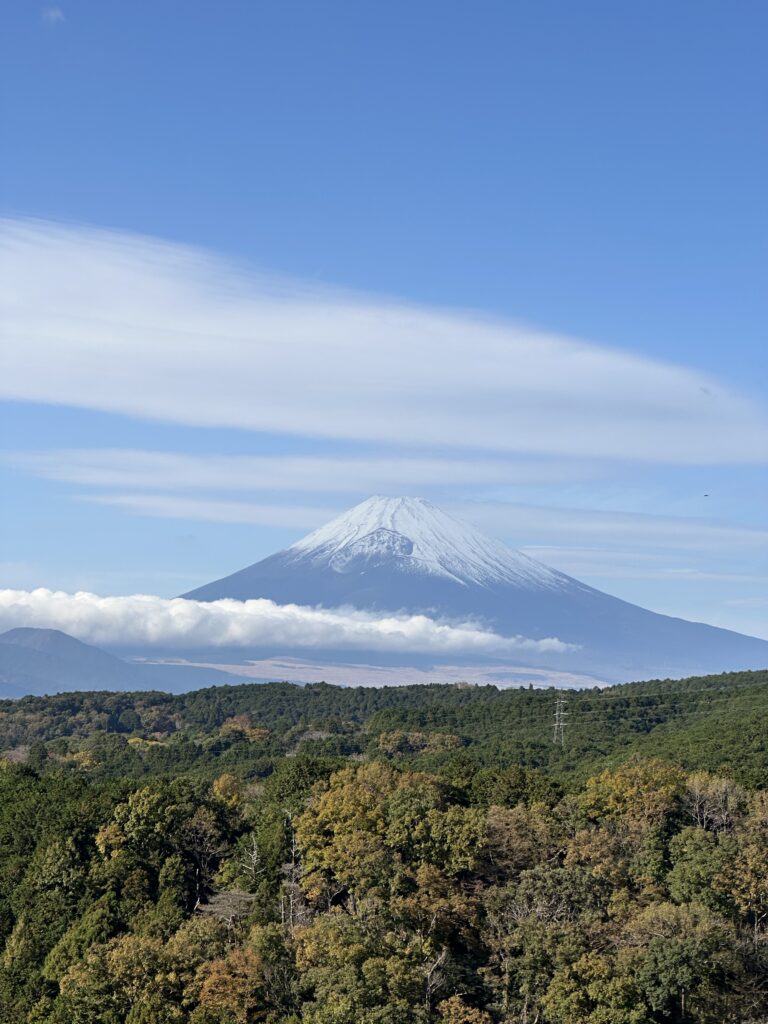 Mt Fuji Japan lodret