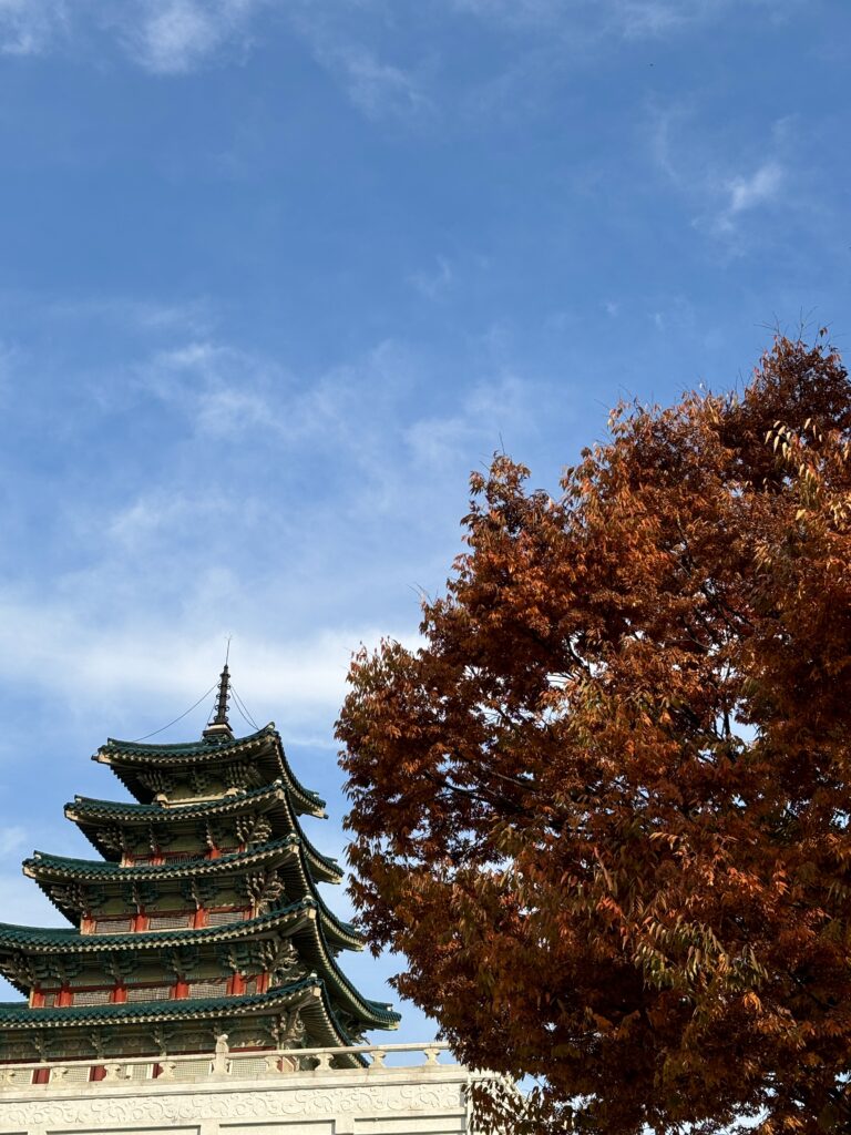 Toppen af et tempel og flot farverigt træ i Sydkorea