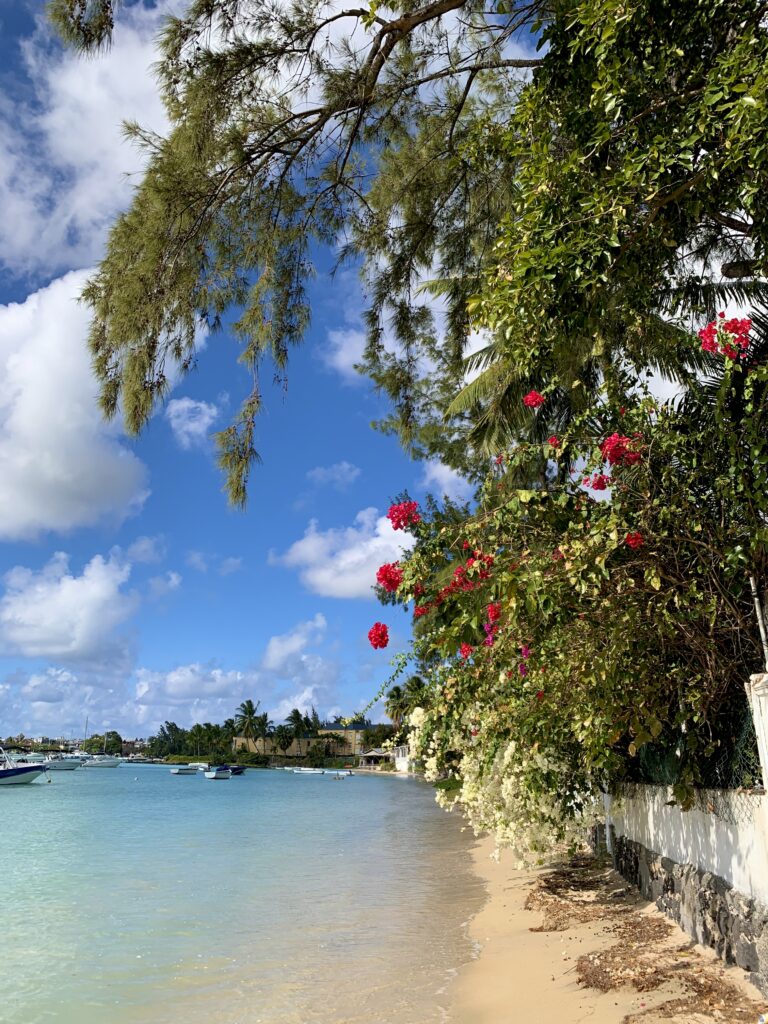 Blomster på stranden på Mauritius