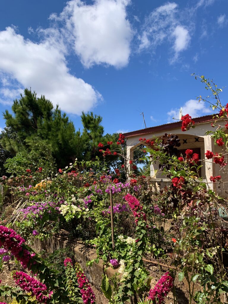 Blomster ved hus på Madagaskar