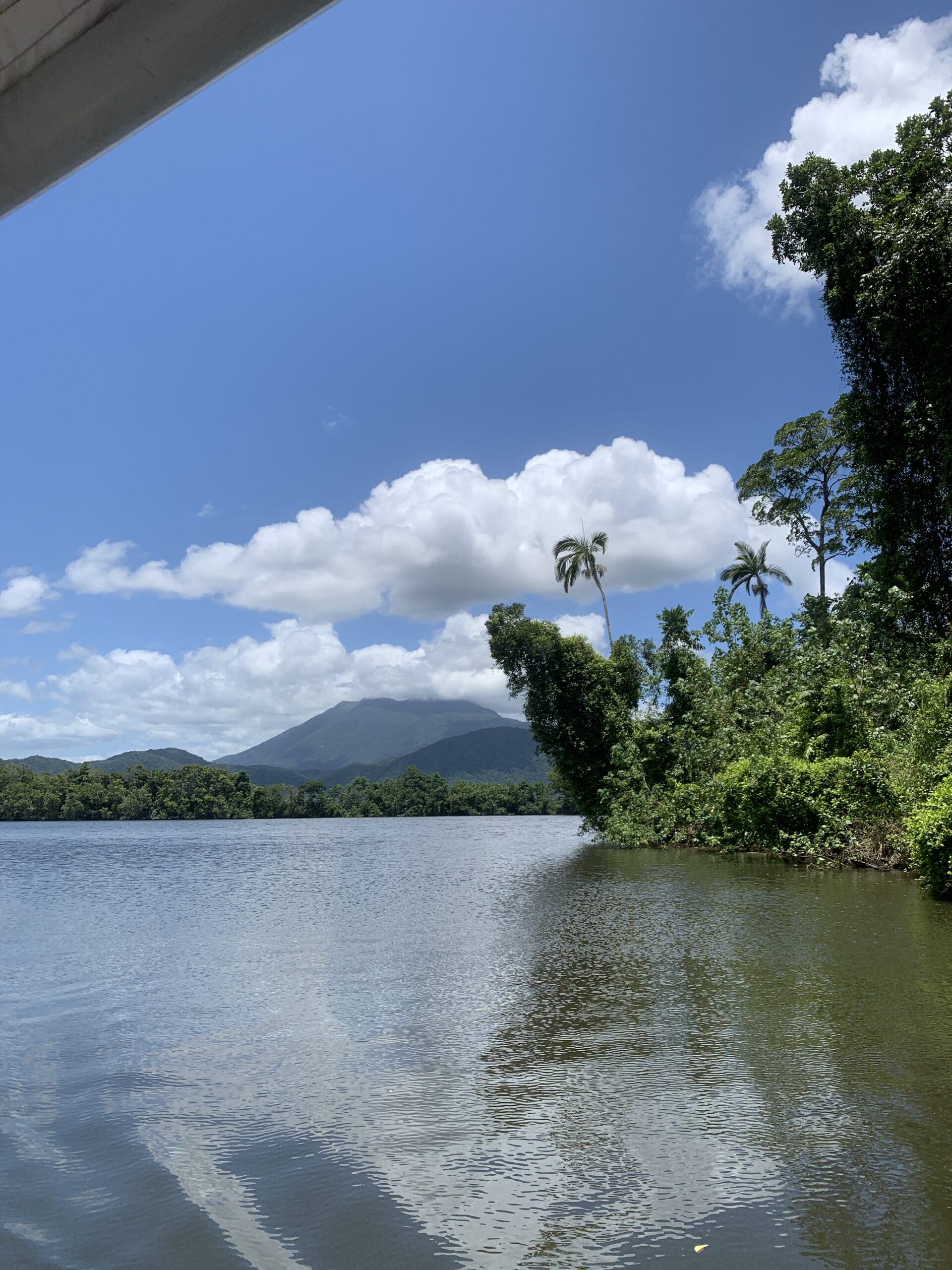 Daintree River Australien