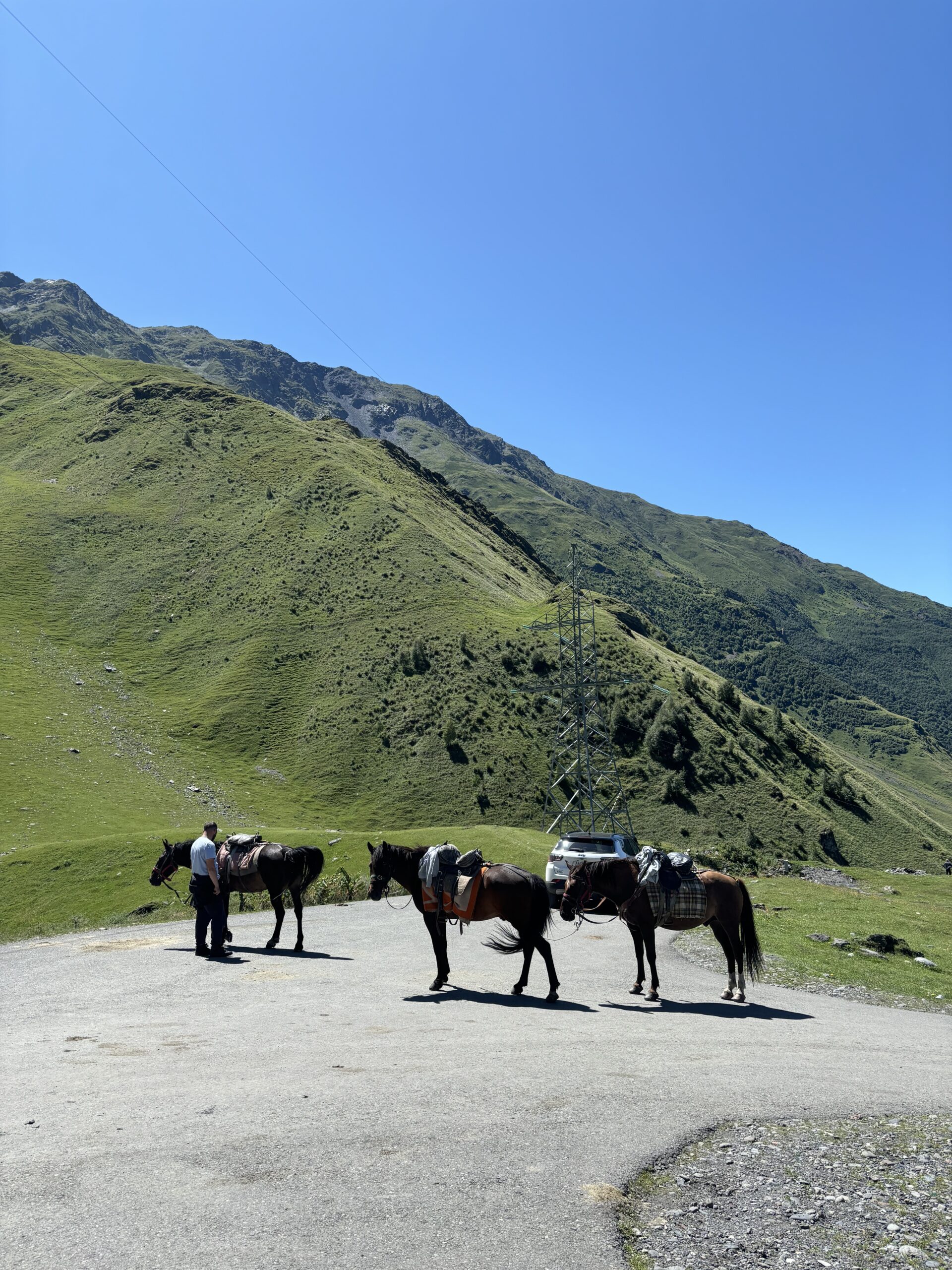 Heste fra ridetur i Kazbegi Georgien