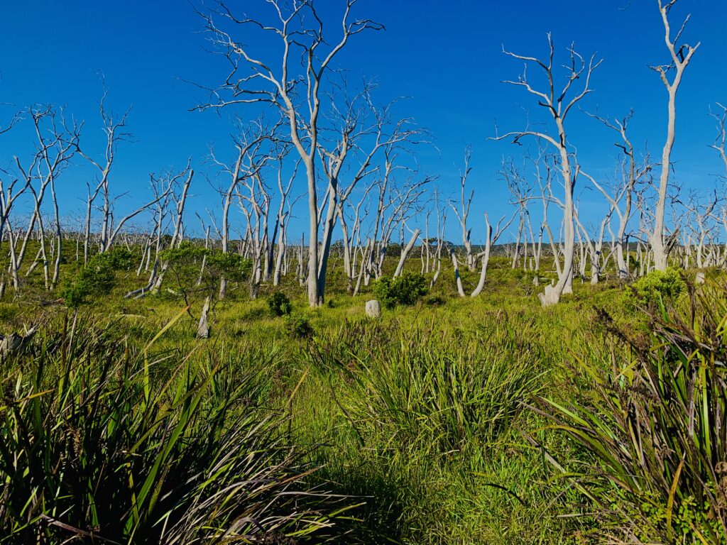 South Australia, Australien