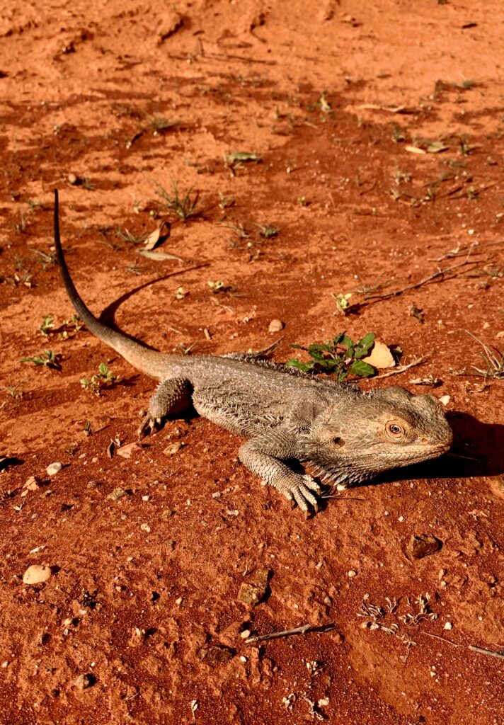 South Australia. Australien