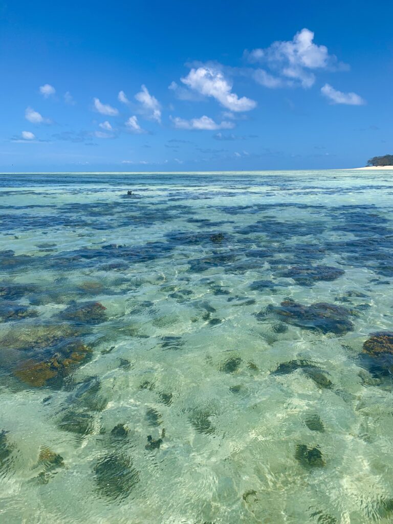 Heron Island, Australien
