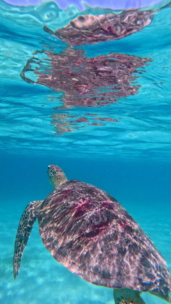 Nosy Sakatia, Madagaskar