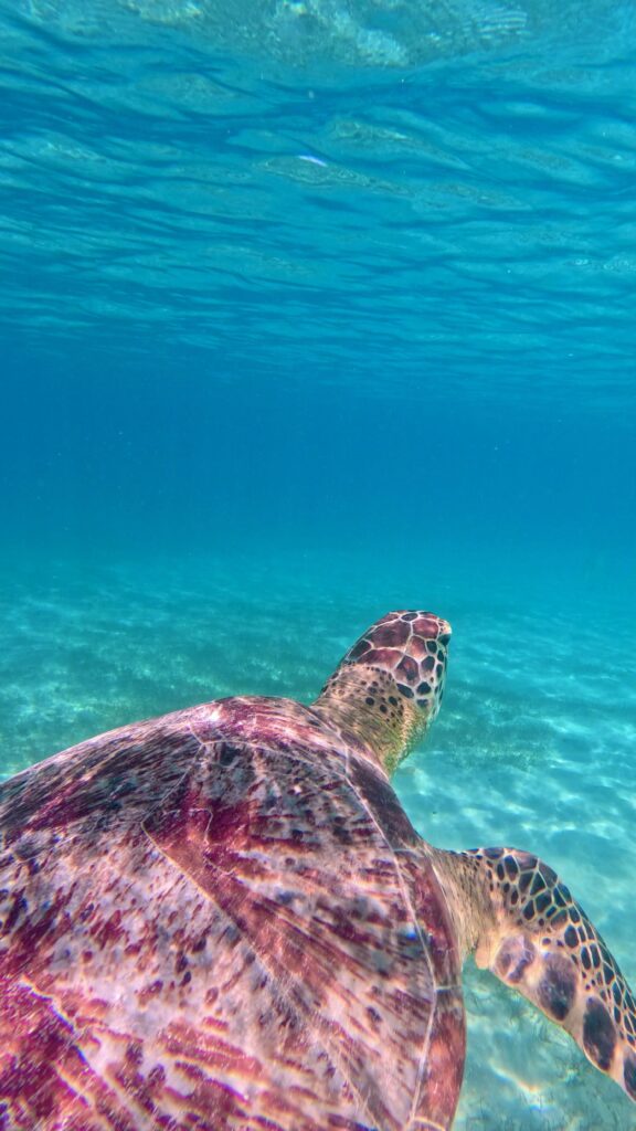 Nosy Sakatia, Madagaskar