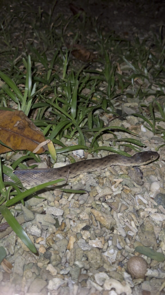 Sainte Marie, Madagaskar