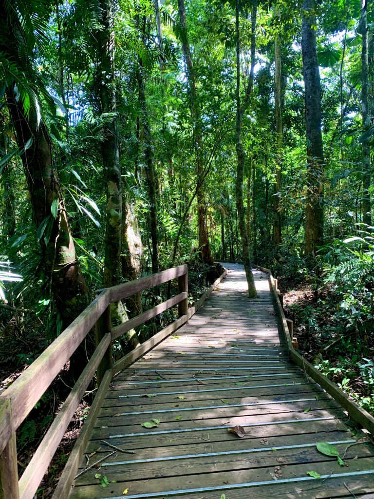 Daintree, Australien