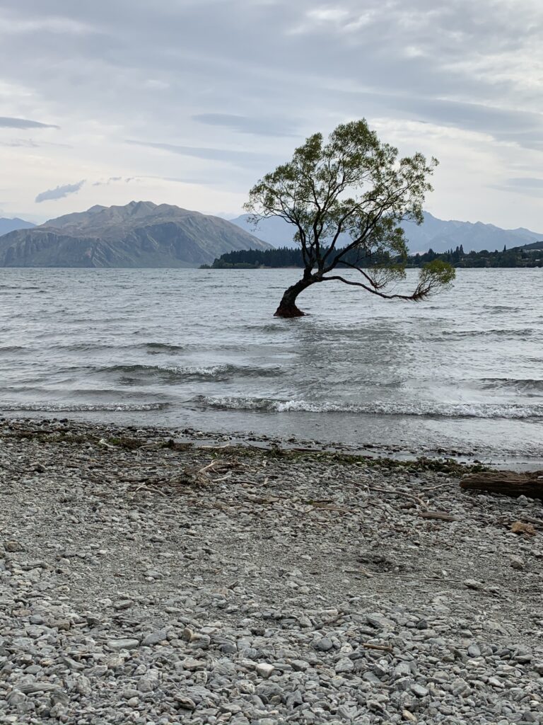 Wanaka, new Zealand