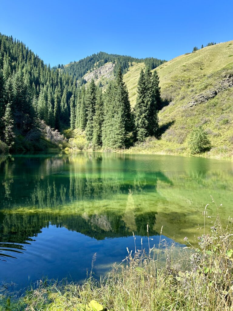 Kolsai, kaindy lake Kasakhstan