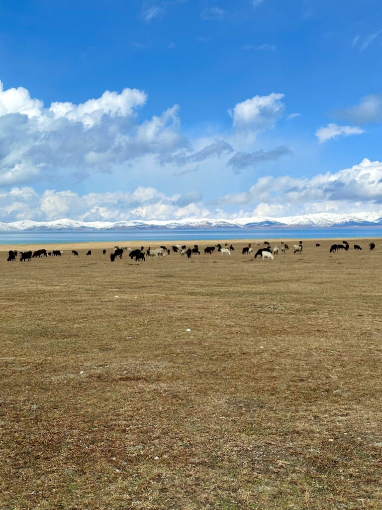 Son Kul Lake, Kirgisistan