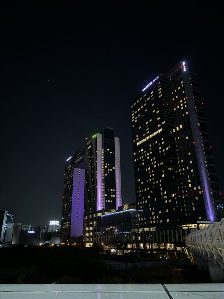 Ibis i mørket Seoul Sydkorea