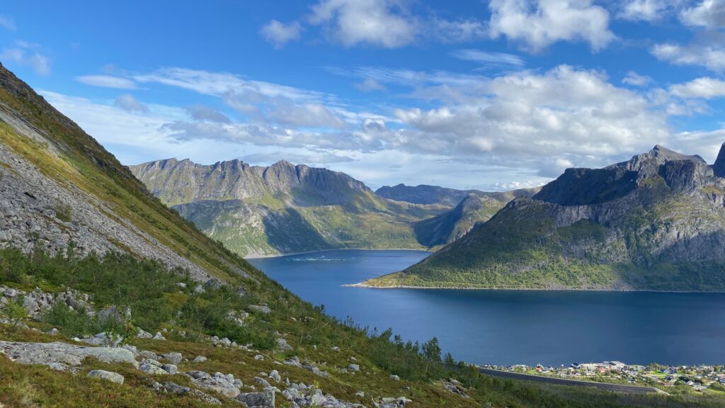 Norge Senja Hesten 4