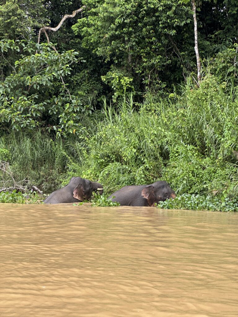 Borneo, Malaysia