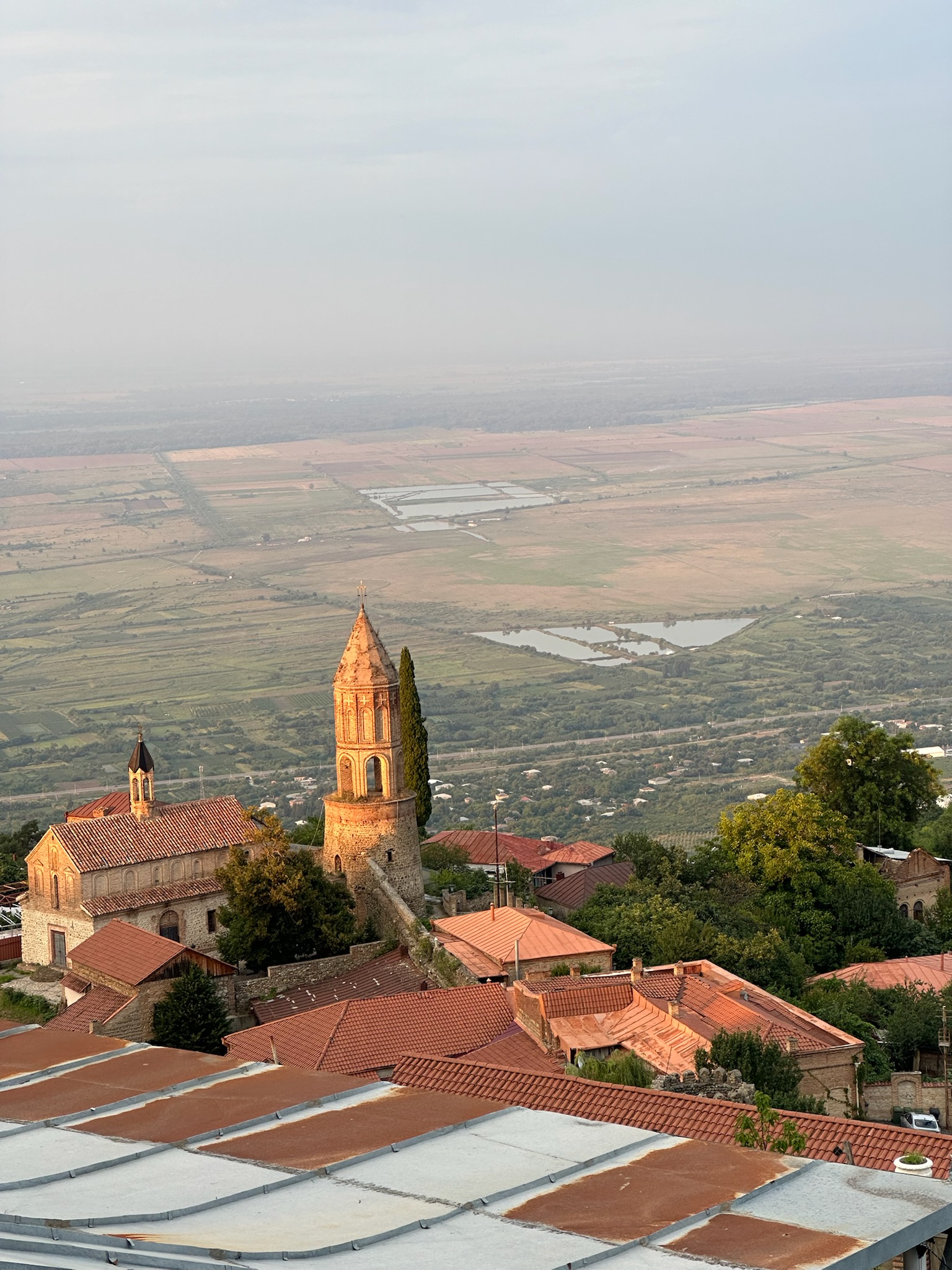 Sighnaghi by set fra et højt punkt i byen. Røde tage og grønne træer, Georgien