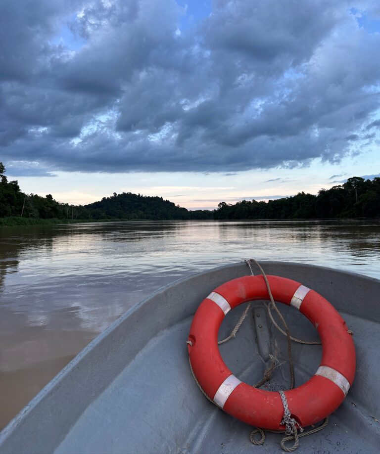 Spidsen af en lille båd med redningsvest på Kinabatangan River på Borneo, Malaysia. En tidlig morgen med solopgangen i horisonten og overskyet himmel