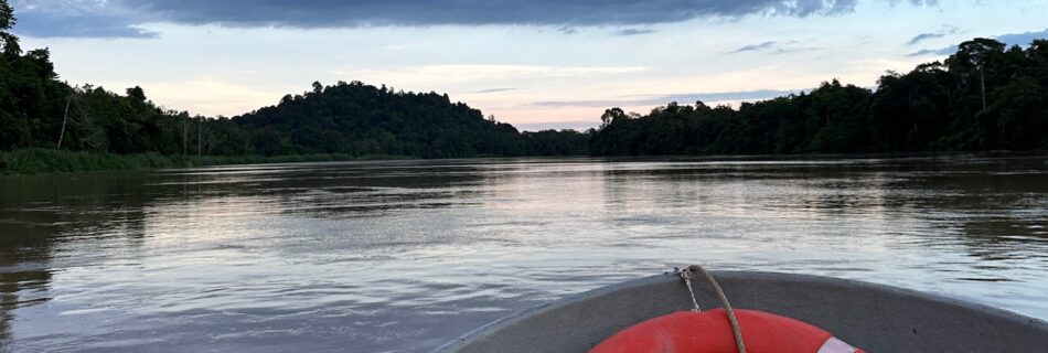 Spidsen af en lille båd med redningsvest på Kinabatangan River på Borneo, Malaysia. En tidlig morgen med solopgangen i horisonten og overskyet himmel