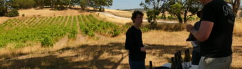 Vinmark vinsmagning Australien