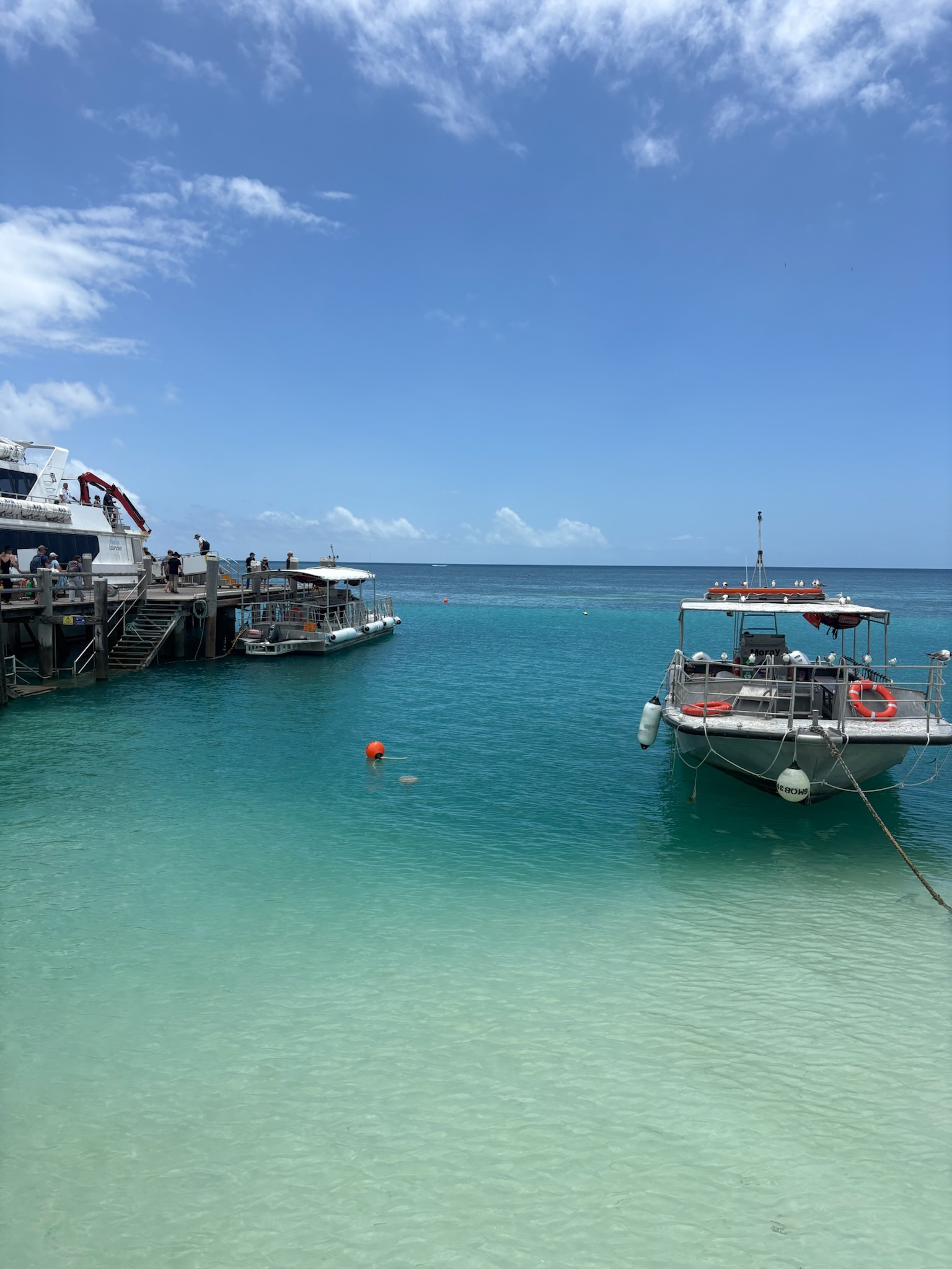 Heron Island, både med krystalblåt vand Australien