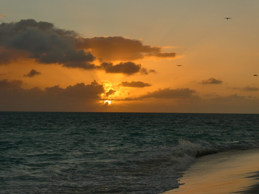 Australien Heron Island solnedgang over vandet